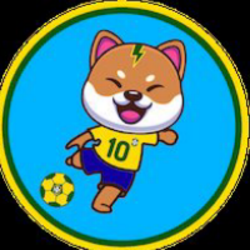 CBFINU Logo