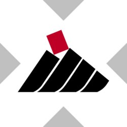 China Shenhua Energy xStock Logo