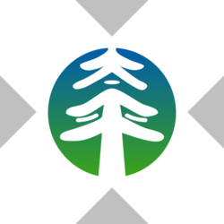 China Taiping Insurance xStock Logo