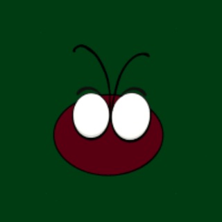 Coccinellidae Finance Logo