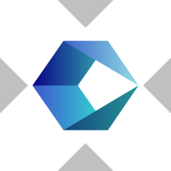 Cognizant Technology Solutions xStock Logo