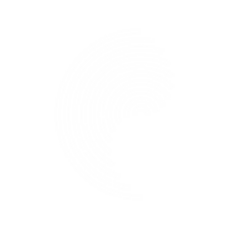 Concentric.fi Logo