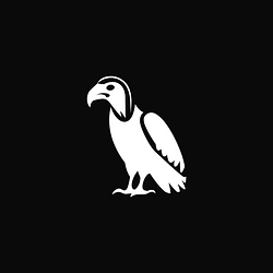 Condor Logo