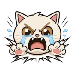 CRASH CAT Logo
