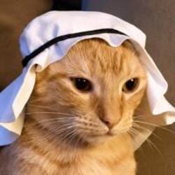 Logo Crude Cat