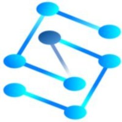 Custom contract network Logo