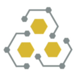 CyberTronchain Logo