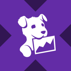 Datadog xStock Logo