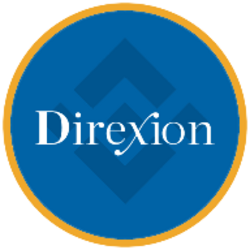 Direxion Semiconductor Bear 3X ETF (bStocks Tokenized Stock) Logo