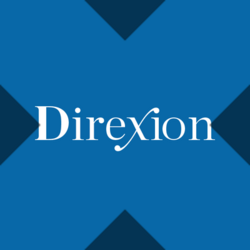 Direxion Semiconductor Bull 3X xStock Logo