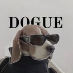 DOGUE Logo