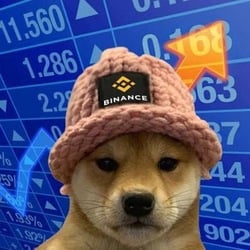 Dogwifhat BSC Logo