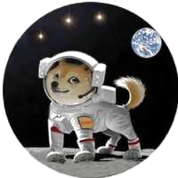 Dogz Logo
