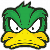 DUCK NETWORK Logo