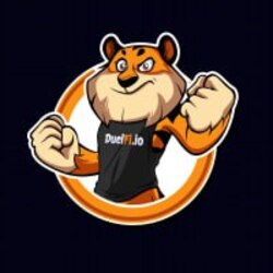 duel.Fi Logo