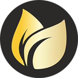 Earnfinex Logo