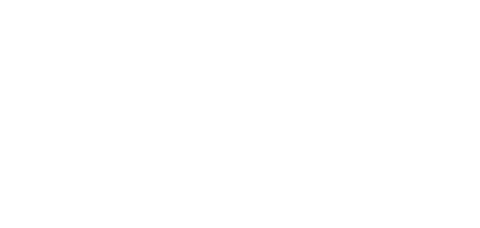 Eternal Paradox Logo