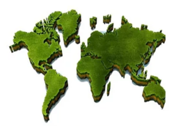 Evergreen Token Logo
