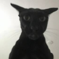 Evil Larry Logo