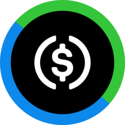 Logo Exactly USD Coin