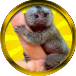 Finger Monkey Logo
