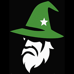 Finwizz by Virtuals Logo