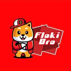 FlokiBro Logo