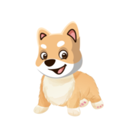 Flokidoge Logo
