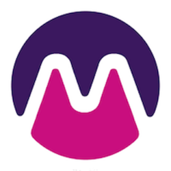 Florence Finance Medici Logo