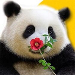 花花 (flower flower) Logo