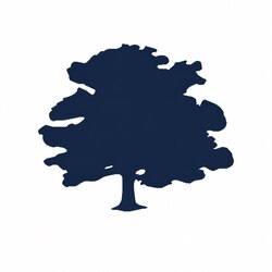 Logo Forest Road USDfr