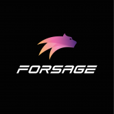 Forsage BUSD Logo