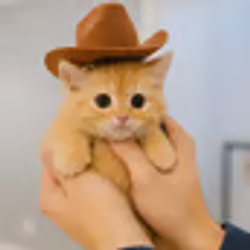 fred the kitty Logo