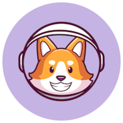 Galaxy Doge Logo