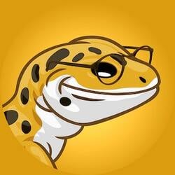 Geeko Dex Logo