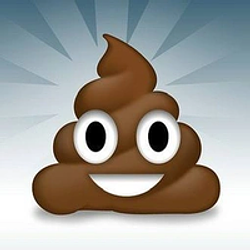 GOVNO Logo