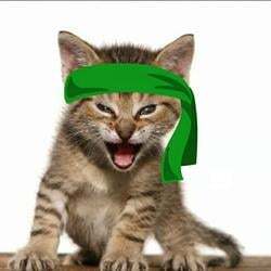 Green Kitten Crew Logo