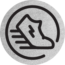 STEPN Green Satoshi Token on BSC Logo