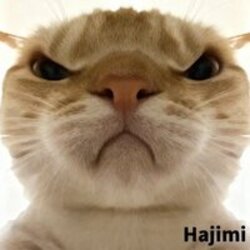 Hajimi Logo