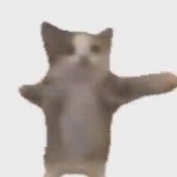HAPPYCAT Logo
