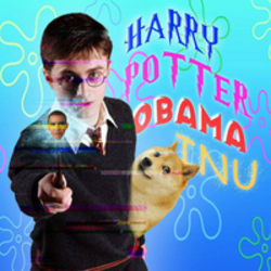 HarryPotterObamaInu Logo