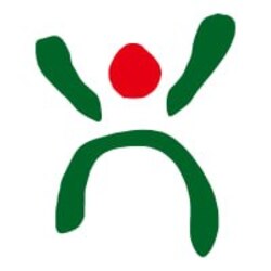 Logo HAVA