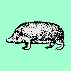 Logo Hedgehood