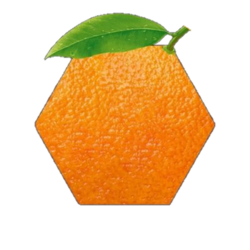 Hex Orange Address Logo