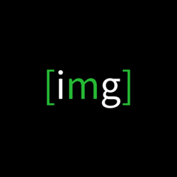 IMG Logo