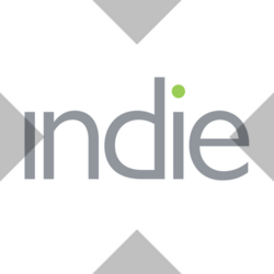 Indie Semiconductor xStock Logo