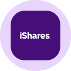 iShares Large Cap Core Active ETF (Ondo Tokenized) Logo