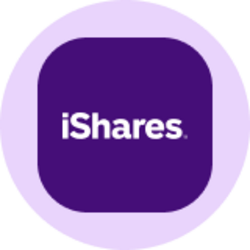 iShares Russell 2000 ETF (Ondo Tokenized ETF) Logo