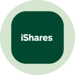 iShares Securitized Income Active ETF (Ondo Tokenized ETF) Logo
