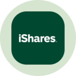 iShares TIPS Bond ETF (Ondo Tokenized ETF) Logo